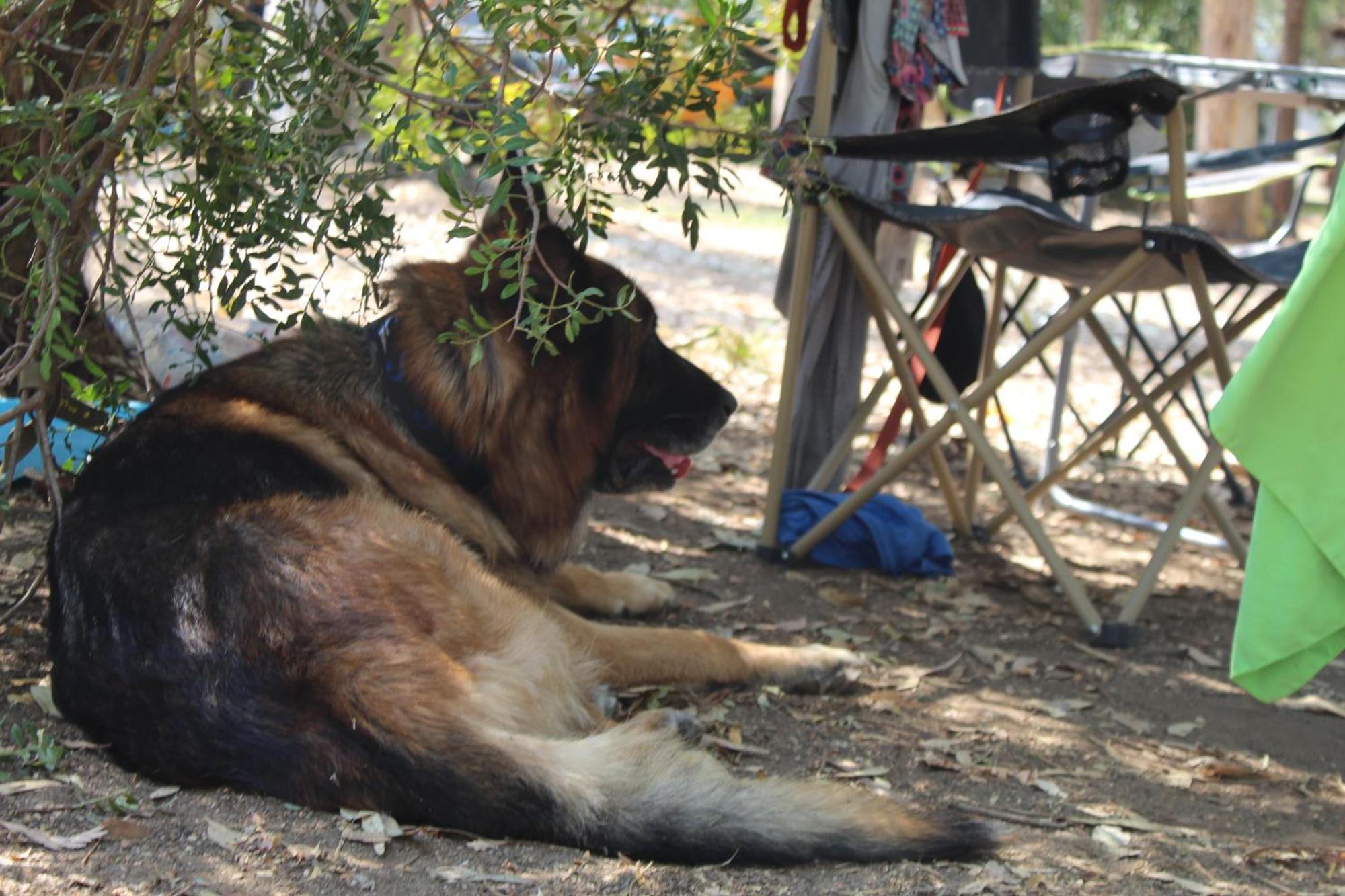 Campingplatz Village Fico D'india *
