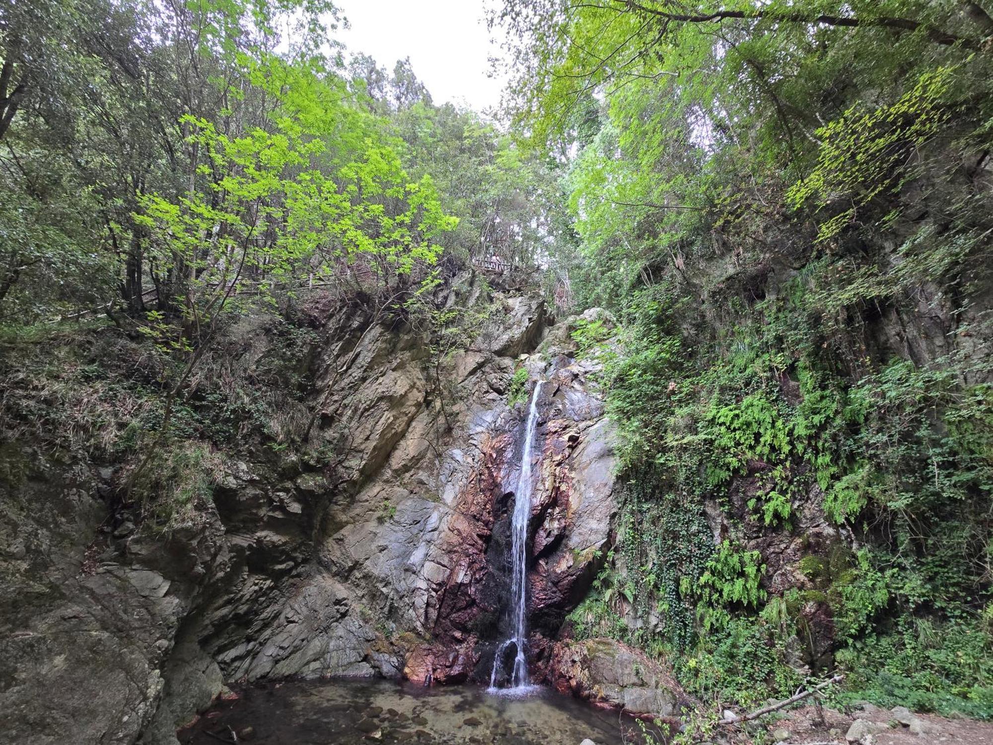 Camping Fico D'india * Ovile la Marina