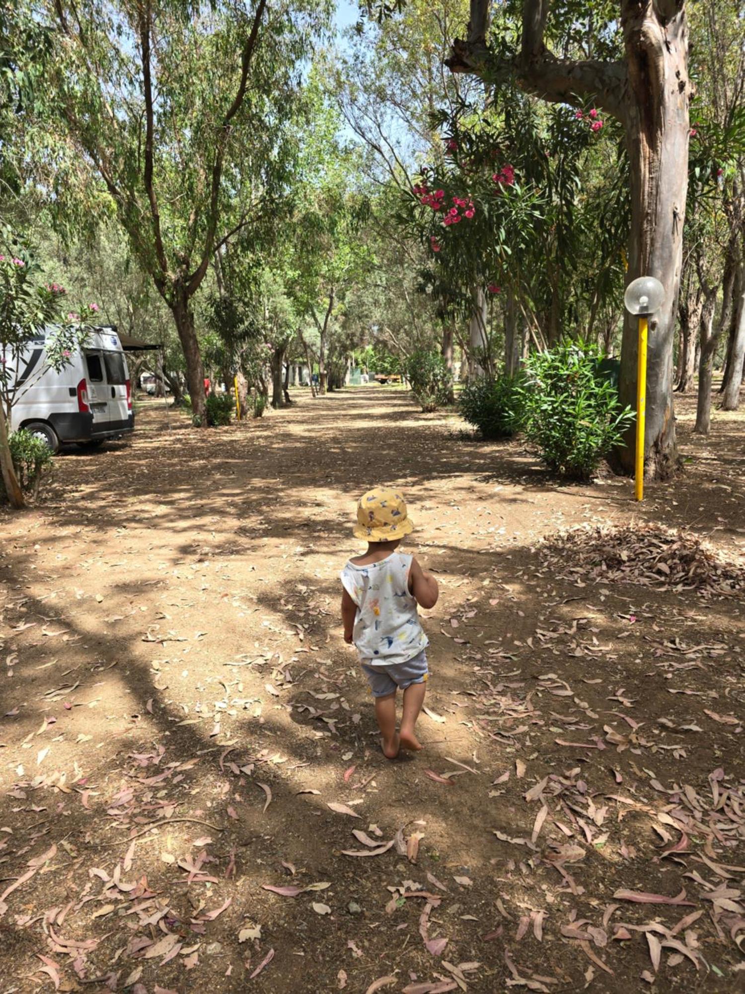 Camping Fico D'india Campsite Ovile la Marina