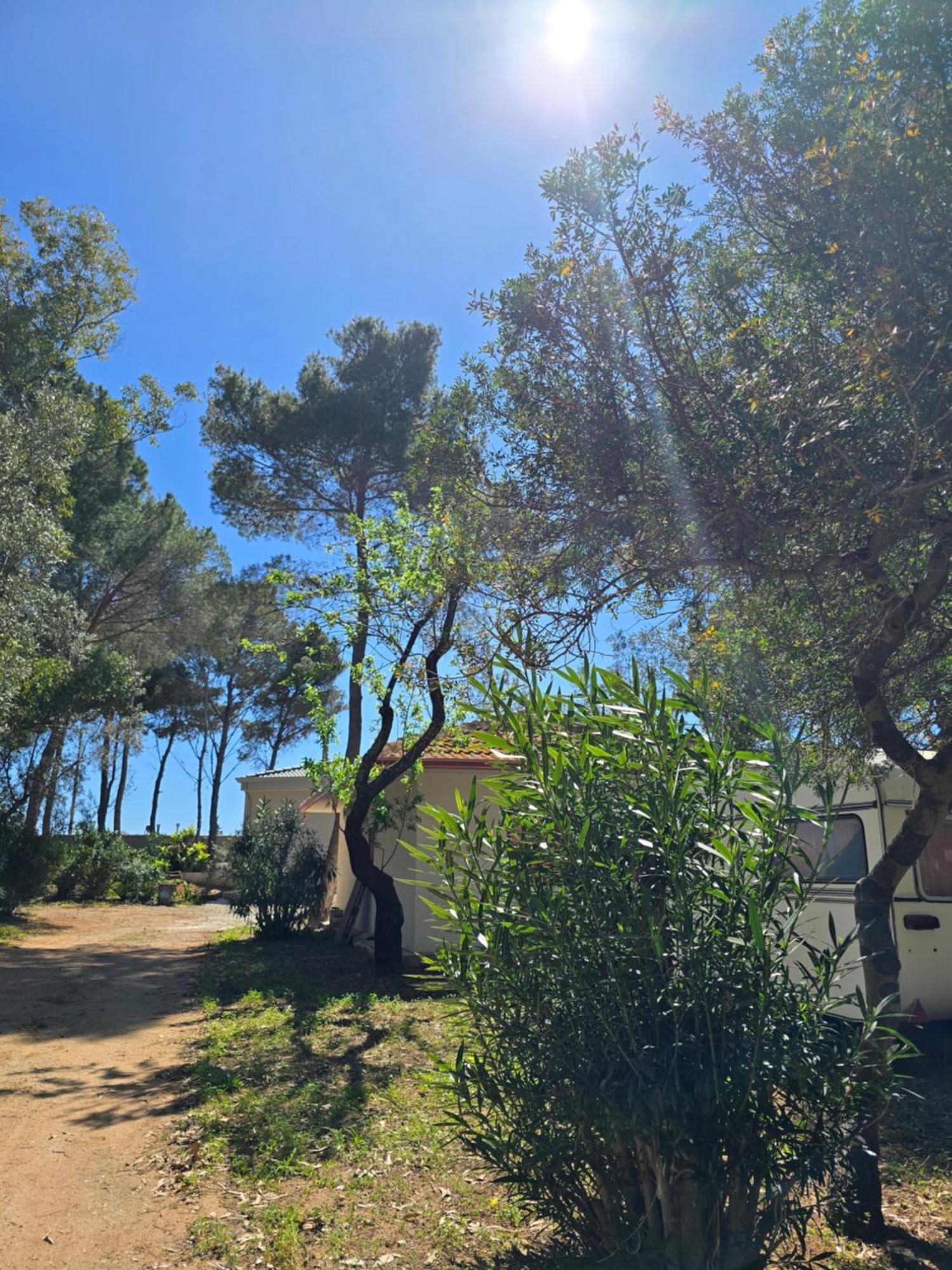 Camping Fico D'india * Ovile la Marina