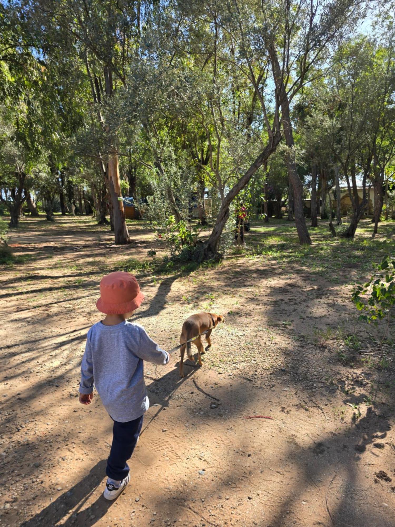 Camping Fico D'india Campsite *
