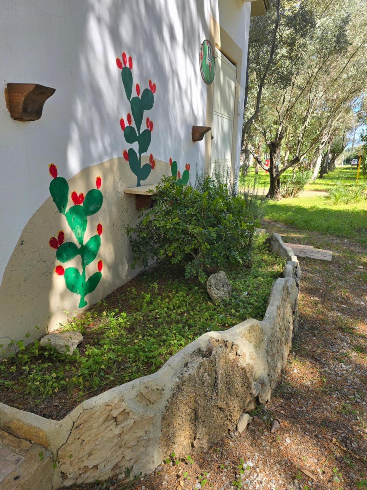 Camping Fico D'india *